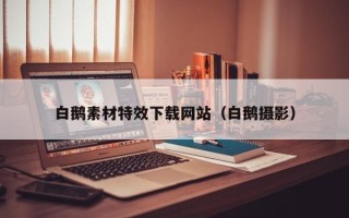 迁安市白鹅素材特效下载网站（白鹅摄影）